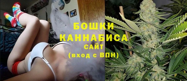 соль курить ск Заводоуковск