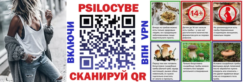 Псилоцибиновые грибы мицелий  сколько стоит  нарко площадка состав  Новомосковск 